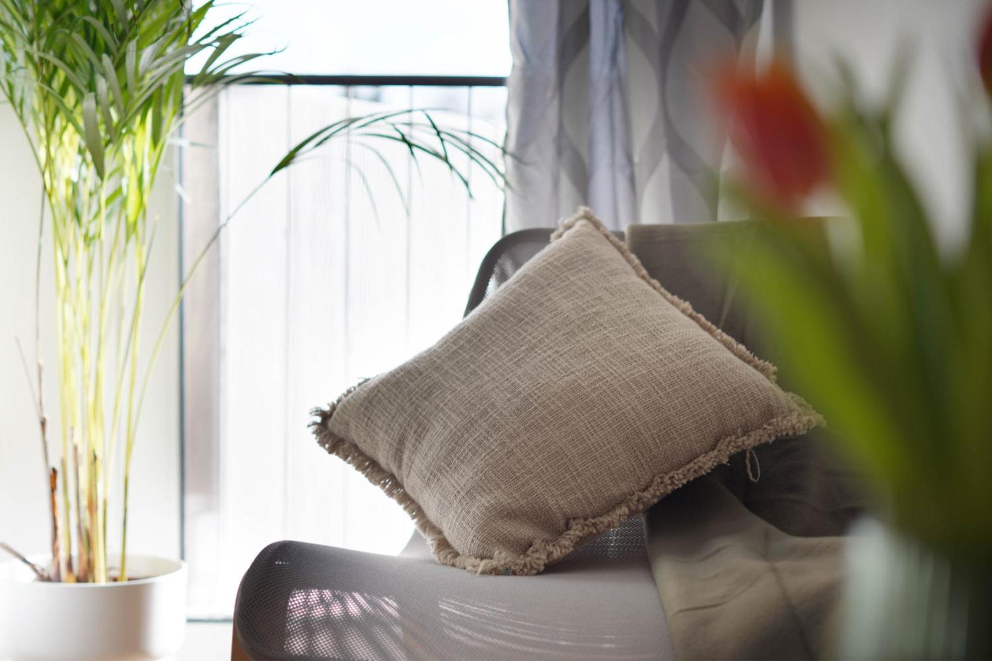 Schoene Apartments In Bad Rothenfelde I Private Parkplaetze Mit Ladesaeulen I Home2Share 외부 사진